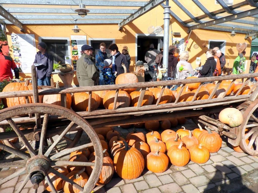 Das sind wir | Schnell's Kürbiskerne