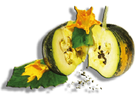 Logo Kürbis
