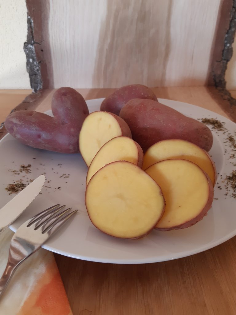Die Kartoffeln Laura: auen rot, innen gelb und echt lecker