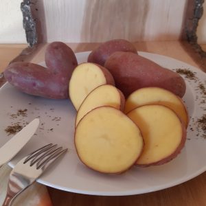 Kartoffeln Laura