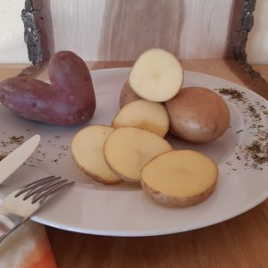 Frühkartoffeln